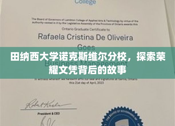 揭开田纳西大学荣耀文凭的神秘面纱，诺克斯维尔分校的传奇之路