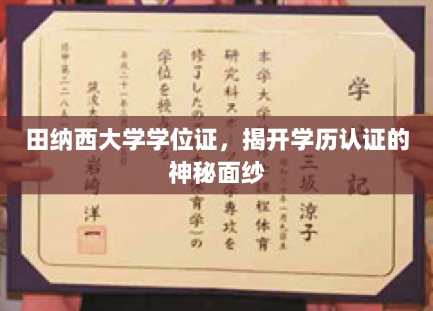 田纳西大学学位证探秘，解码现代学历认证之谜