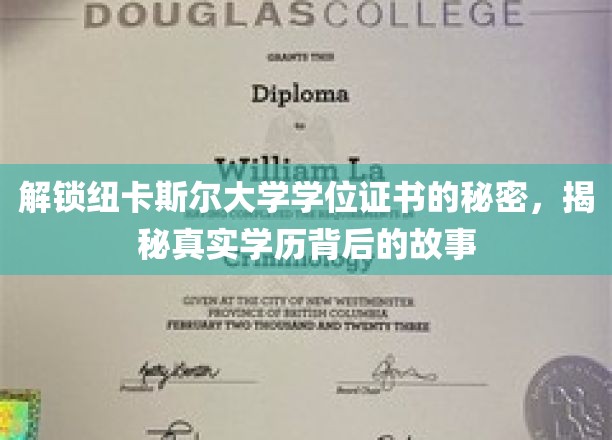 解锁纽卡斯尔大学学位证书的秘密，揭秘真实学历背后的故事