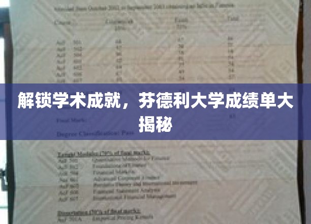 解锁学术成就，芬德利大学成绩单大揭秘
