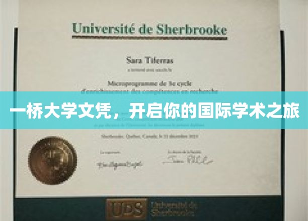 一桥大学文凭，开启你的国际学术之旅