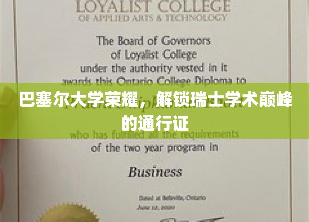 巴塞尔大学荣耀，解锁瑞士学术巅峰的通行证