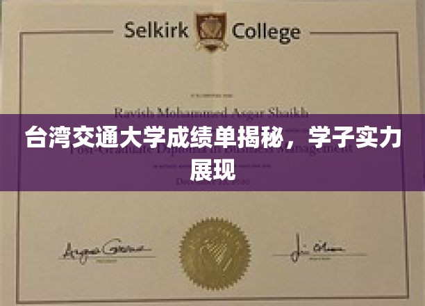 台湾交大成绩单曝光，学子才华横溢，实力不容小觑