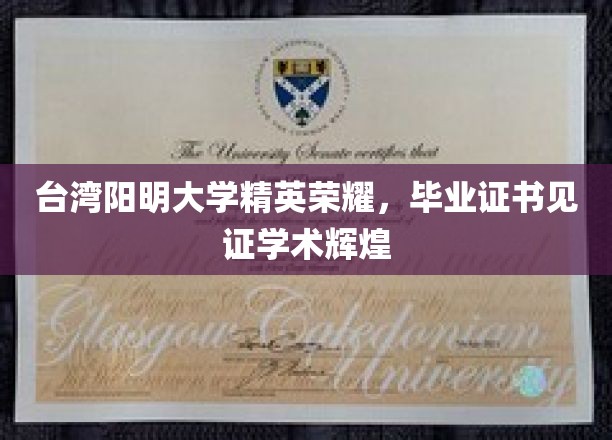 台湾阳明大学杰出学子荣耀绽放，毕业证书彰显学术巅峰成就