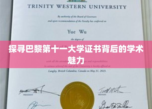 探寻巴黎第十一大学证书背后的学术魅力