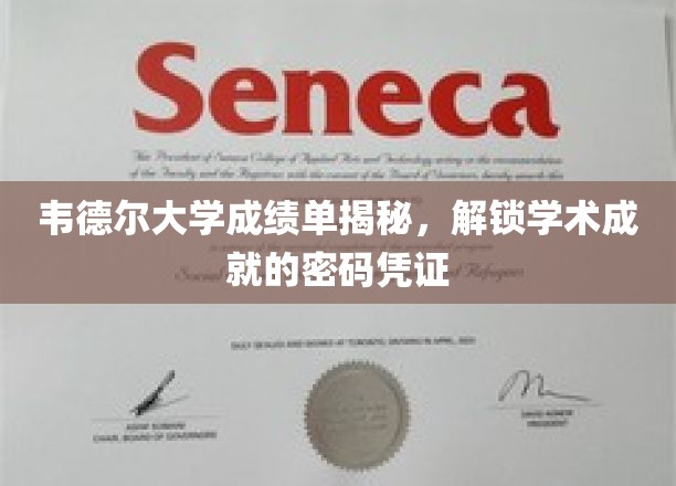 韦德尔大学成绩单揭秘，开启学术成就的凭证之窗