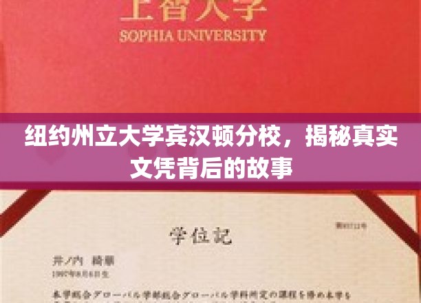 揭开纽约州立大学宾汉顿分校文凭背后的神秘面纱