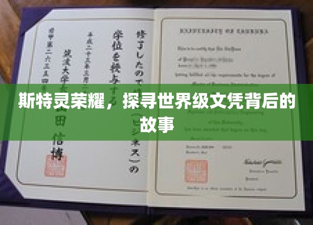 斯特灵荣耀探秘，揭秘世界级文凭背后的传奇历程