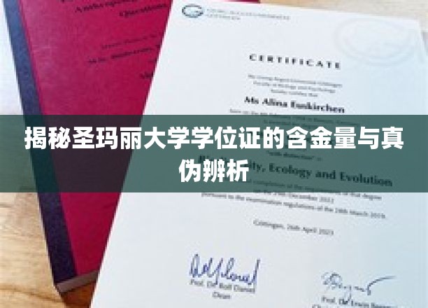 探寻圣玛丽大学学位证的含金量与真伪鉴定攻略