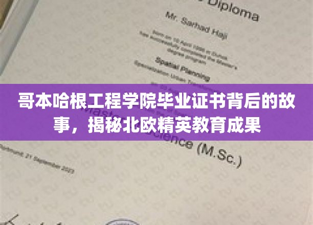 哥本哈根工程学院证书之谜，北欧精英教育背后的辉煌成果