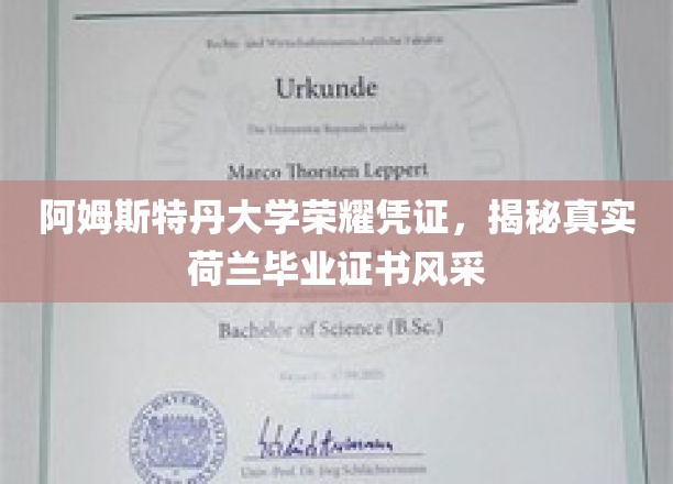 探寻阿姆斯特丹大学独特魅力，荷兰毕业证书的精致风采大揭秘