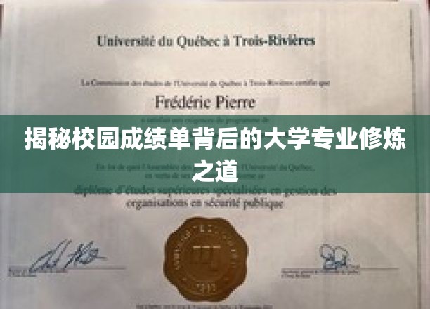 解码高校成绩单，探寻热门专业成长之路