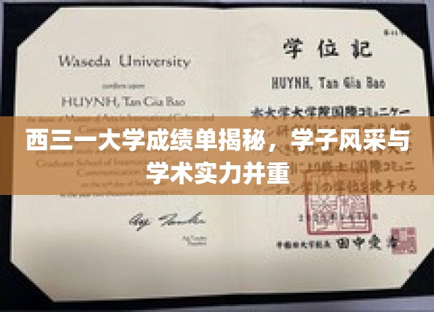 西三一学子风采，成绩单背后的学术实力与卓越表现