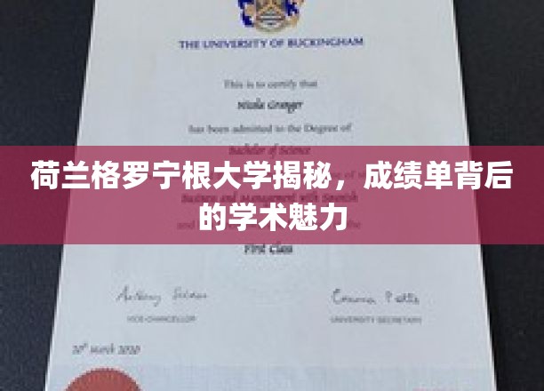揭开荷兰格罗宁根大学成绩单中的学术奥秘