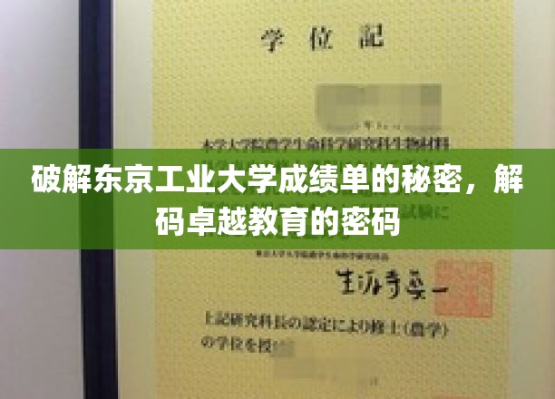 解锁东京工业大学成绩单的智慧之门，探索卓越教育的奥秘