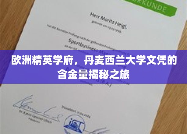 揭开丹麦西兰大学精英教育背后的价值宝藏