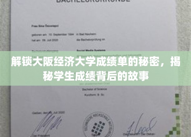 解锁大阪经济大学成绩单的秘密，揭秘学生成绩背后的故事