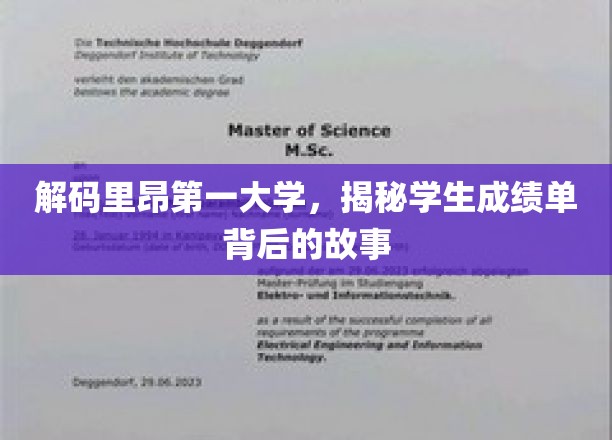 探寻里昂第一大学成绩单背后的传奇故事