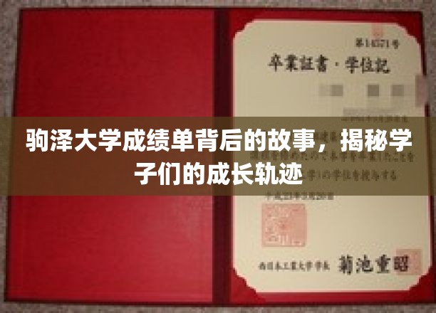 驹泽大学成绩单，揭开学子们蜕变与成长的秘密面纱