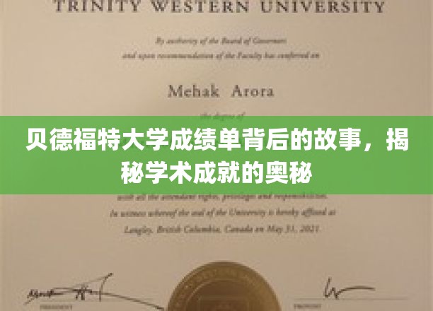 揭开贝德福特大学成绩单背后的传奇，探索学术成就的秘密之门