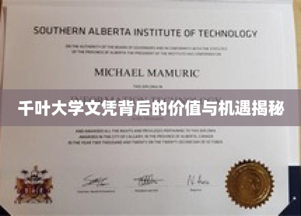 千叶大学文凭背后的价值与机遇揭秘