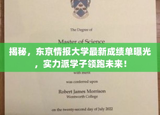 东京情报大学最新成绩单曝光，实力派学子领跑未来！