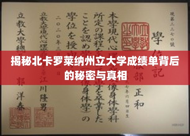 探索北卡罗莱纳大学成绩单的神秘面纱，揭开教育成就的深层奥秘