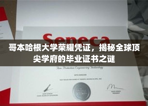 哥本哈根大学毕业证书揭秘，一纸证书背后的世界级学府魅力