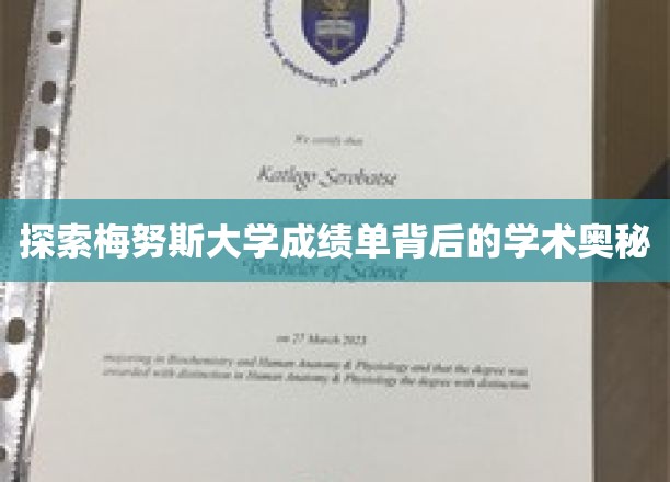解码梅努斯大学成绩单，揭秘学术成就的秘密通道