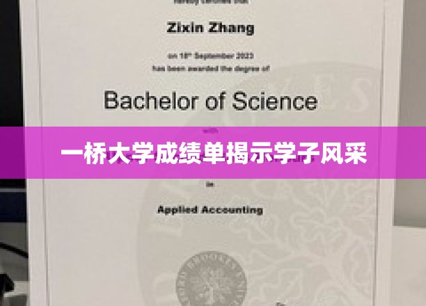一桥大学成绩单，展学子卓越风采，解码青春梦想之路