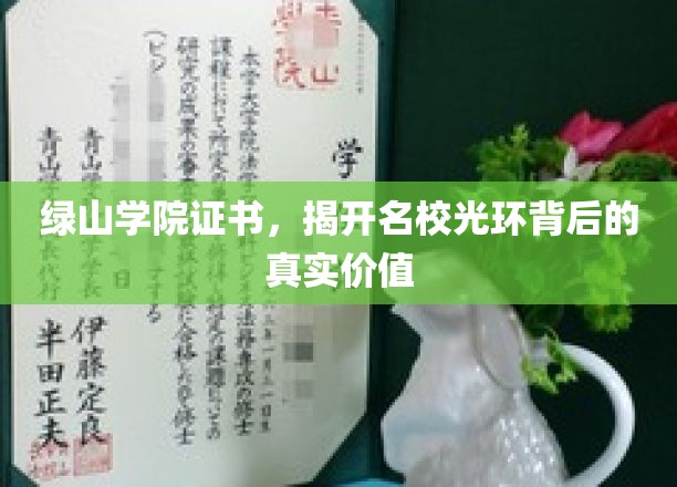 绿山学院证书解析，名校光环下的真实教育力量