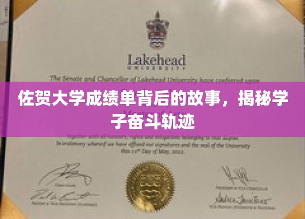 佐贺大学成绩单背后的故事，揭秘学子奋斗轨迹