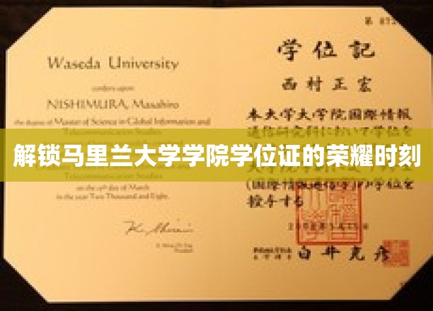 马里兰大学荣耀启程，揭秘学位证背后的荣耀瞬间