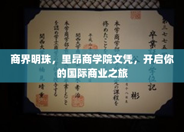 商界明珠，里昂商学院文凭，开启你的国际商业之旅