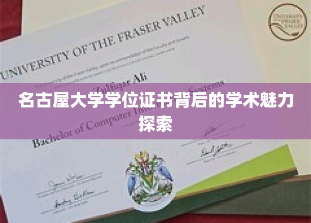 解码名古屋大学学位证书，一场学术与艺术的盛宴