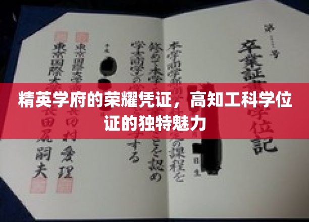 智慧殿堂的通行证，高知工科学位证的非凡风采