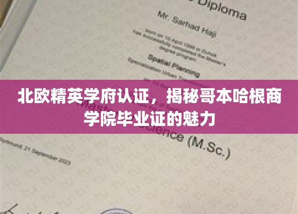 哥本哈根商学院，北欧精英认证下的高含金量毕业证解析