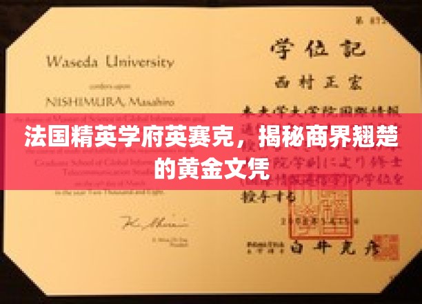 解码精英摇篮，英赛克如何锻造商界翘楚的璀璨文凭