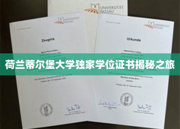 探寻荷兰蒂尔堡大学学位证书背后的传奇故事