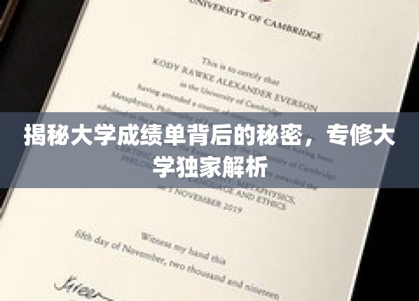 解码大学成绩单，揭秘学术成就的隐藏秘密