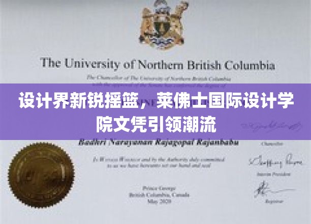 设计未来先锋，莱佛士国际设计学院文凭塑造潮流风向标