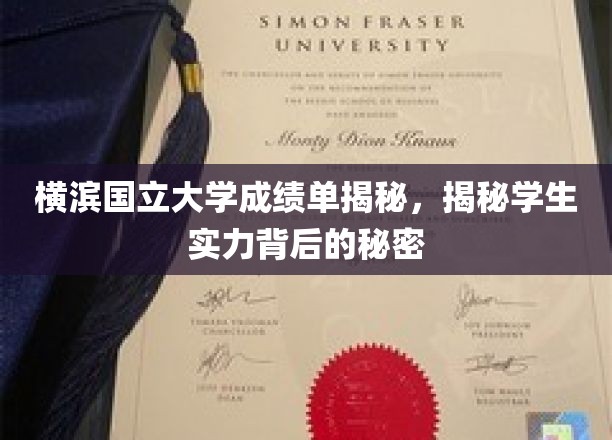 横滨国立大学成绩单揭秘，揭秘学生实力背后的秘密