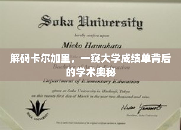 探寻卡尔加里大学成绩单中的学术秘境