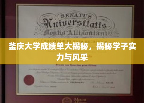 釜庆大学成绩单大揭秘，揭秘学子实力与风采