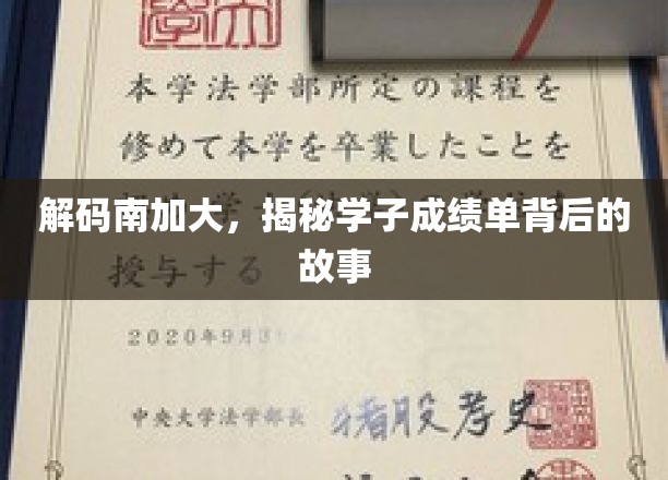 南加大风云录，揭秘学霸背后的不凡经历