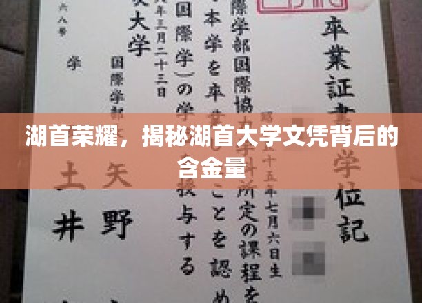 湖首大学文凭价值解析，揭秘学历背后的非凡实力