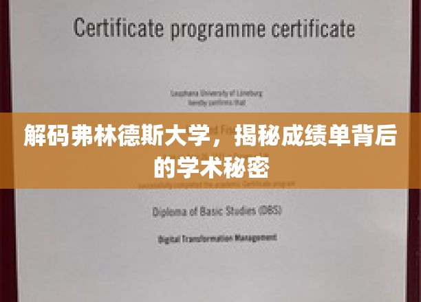 探秘弗林德斯大学，成绩单背后的学术奥秘揭晓