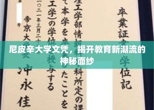 学历新纪元，尼皮辛大学文凭引领教育革新风尚
