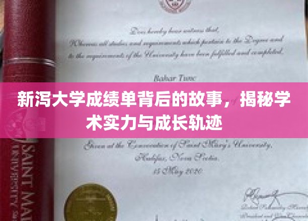 探寻新泻大学成绩单背后的传奇，解码学术实力与青春足迹
