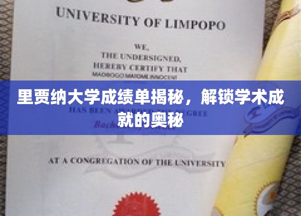 里贾纳大学成绩单揭秘，揭示学术成就的奥秘